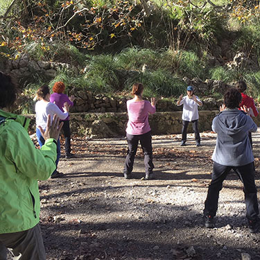 Qi Gong