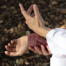shiatsu-02